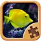Cool Fish Jigsaw Puzzles - Fun Logical Games