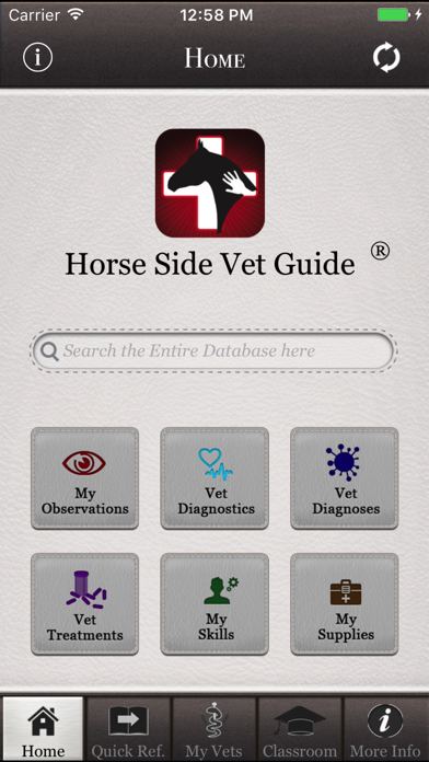 Horse Side Vet Guide Screenshot