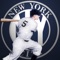 Icon New York Baseball Yankees Edition