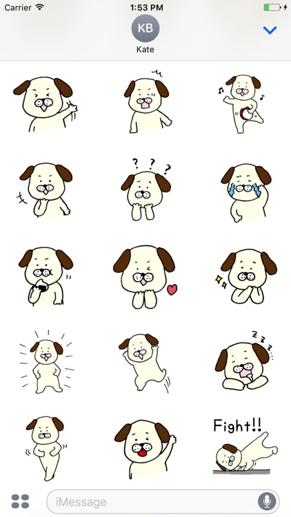 Reaction of a dog
