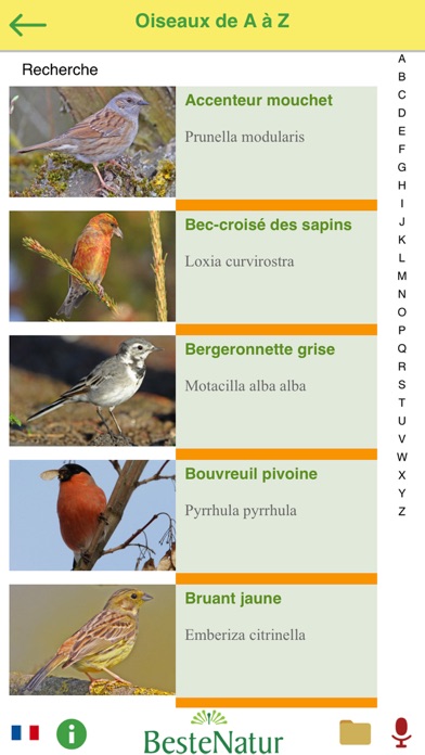 Oiseaux chanteurs - reconnaître la chanson Oiseaux chanteurs - reconnaître la chanson