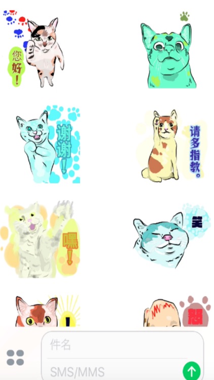 有点怪猫