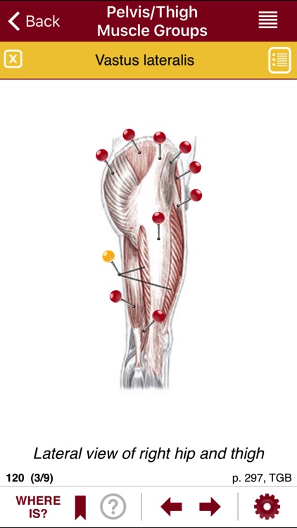 AnatomyMapp