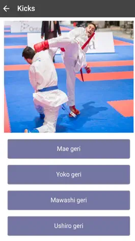 Game screenshot Karate-Do mod apk