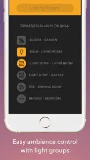 lights for philips hue iphone screenshot 4