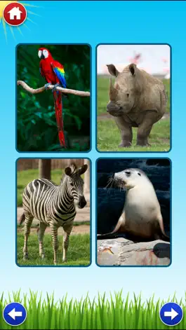 Game screenshot Zoo Sounds Lite - A Fun Animal Sound Game for Kids apk