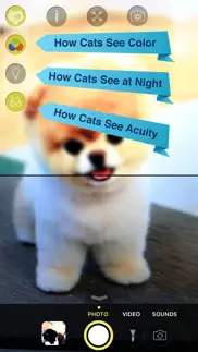 cat vision hd iphone resimleri 2