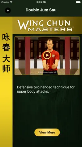 Game screenshot Wing Chun Masters 2 - HD hack