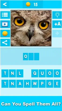 Game screenshot Animal Quiz Close Up : Guess the Word Trivia Games apk