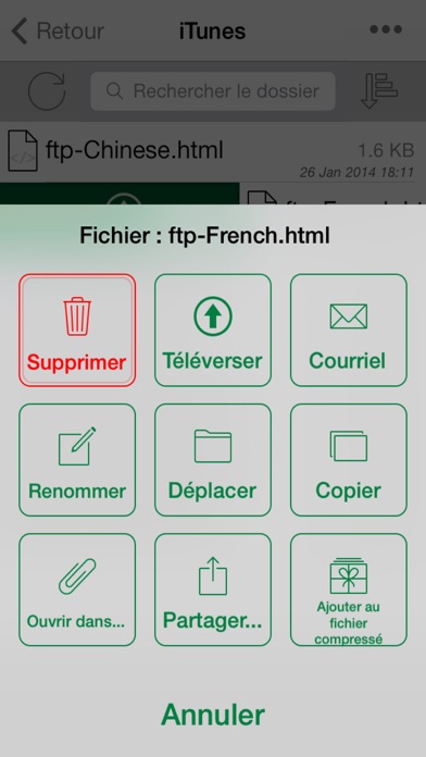 Screenshot #3 pour FTP On The Go PRO