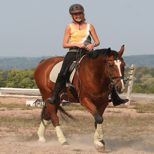 How To Ride A Horse icon