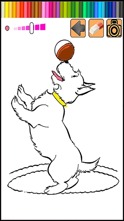 New Coloring Game Learn Animals Version by Kantanat Intim