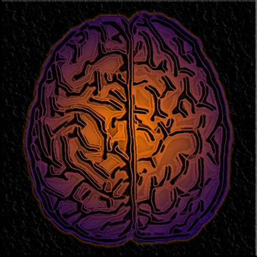 DualBrain+  Brain Training