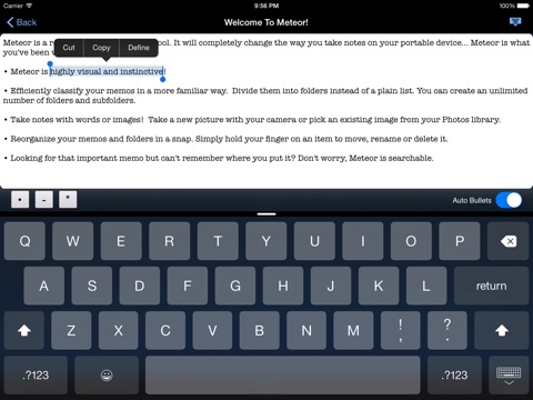 Meteor Notes screenshot 2