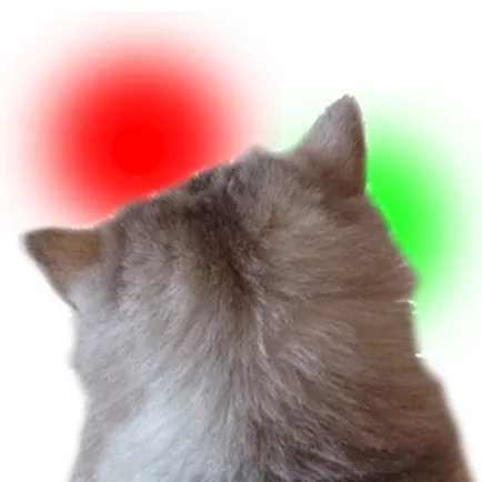 CatMind Cheats