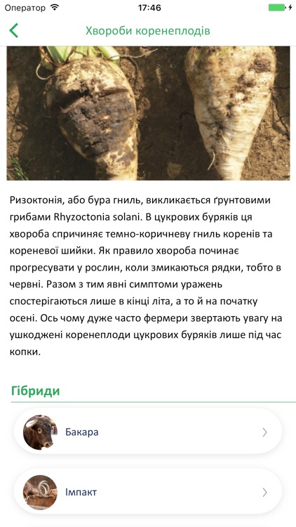 Sesvanderhave-Ukraine screenshot-3