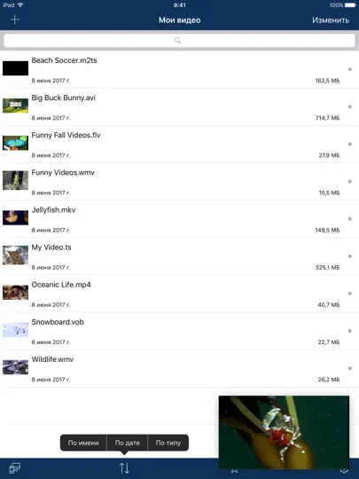 Скриншот AVPlayer для IPad на iPhone 2