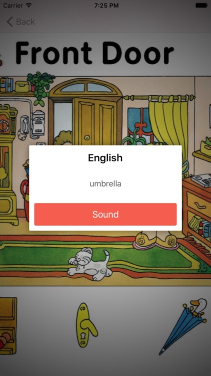 Learning English (American) Basic Words screenshot-4