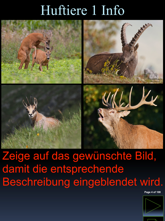 iWildlife Wildlife iPad screenshot