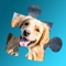 Dogpaw Jigsaw is the new classic Jigsaw Puzzle solving game for your iPhone, iPad and iPod touch devices