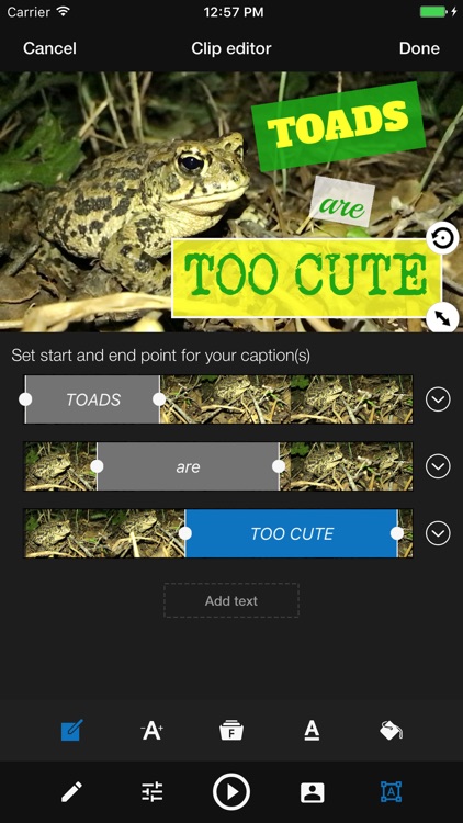 WeVideo – Video Editor, Green Screen, Music & FX
