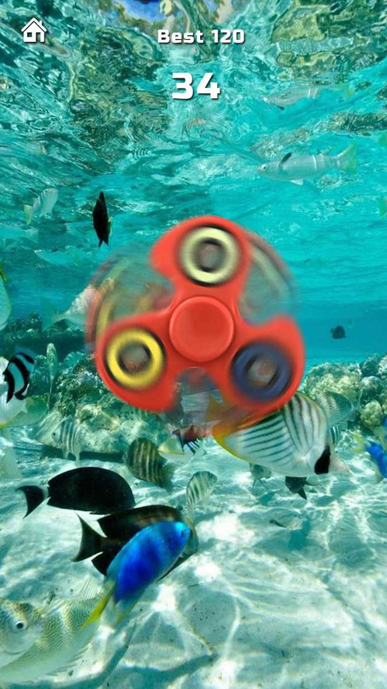 Fidget Hand Spinner!