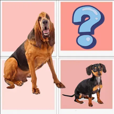The Dog Matching : Cards Matching Games For Kids Читы