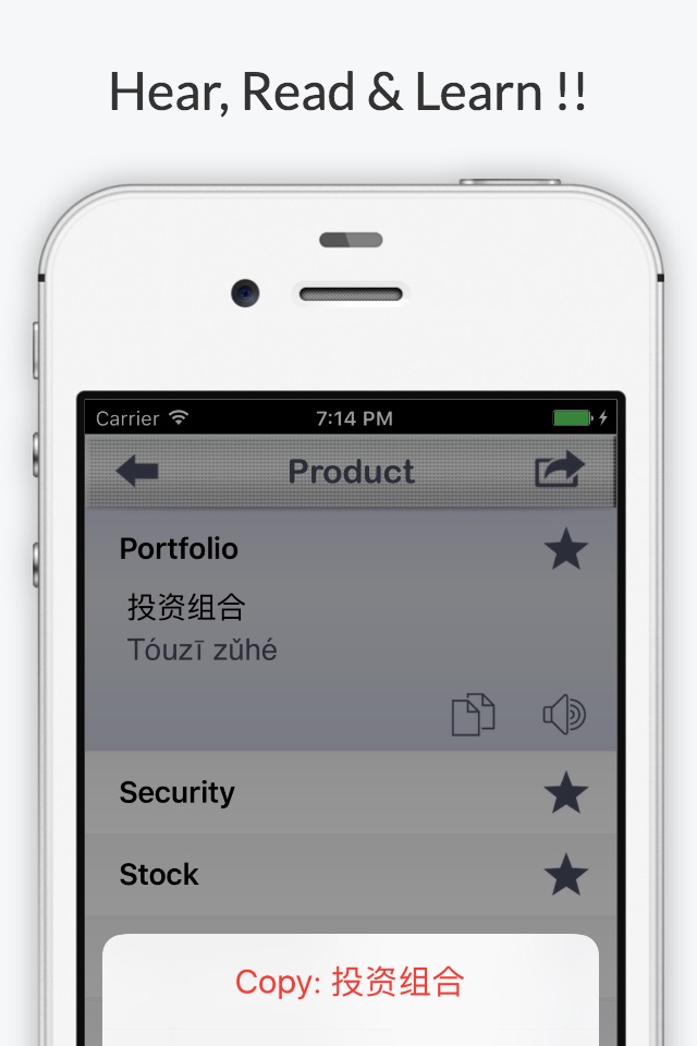 Financial Chinese - Phrases, Words & Vocabulary screenshot 4