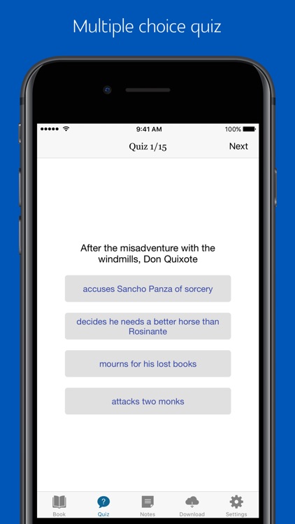 Don quixote - sync transcript, quiz screenshot-3