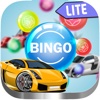 Bingo Automotive Casino