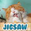かわいい猫のジグソーパズル