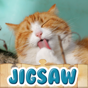 Cute Cats Jigsaw Puzzles : Kitty Puzzle