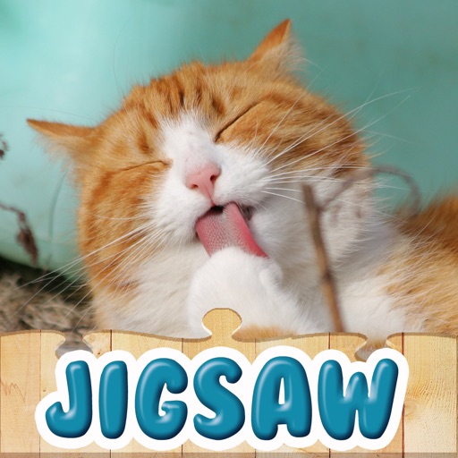 Lovely Cats Jigsaw Puzzles : Kitty Puzzle icon