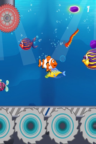 Fish Splashy Jump screenshot 4