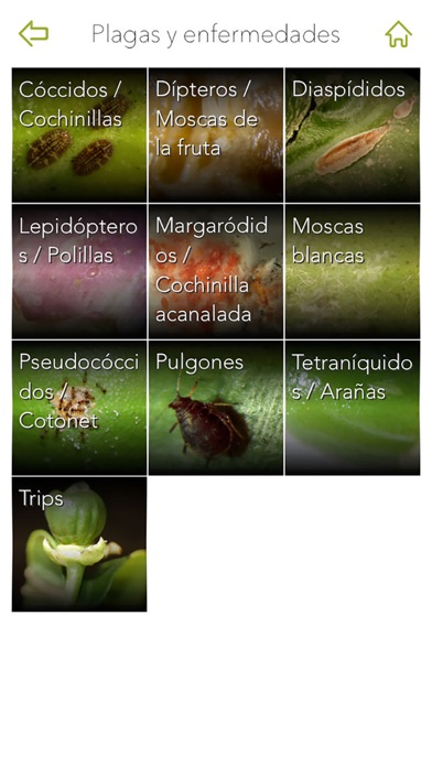 Screenshot #3 pour Gipcitricos IVIA