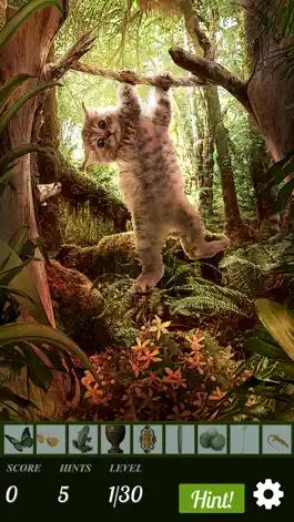 Game screenshot Hidden Object - Cats Island mod apk