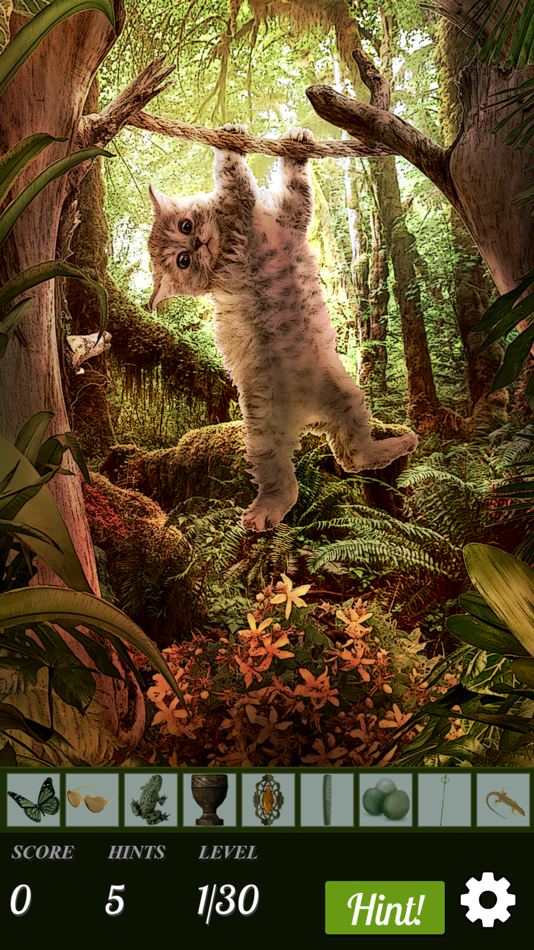 Hidden Object - Cats Island - 1.0 - (iOS)