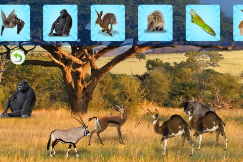 Animals Planet screenshot 4