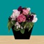 Flower - room escape game -