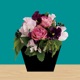 Flower - room escape game - app icon - Games app for iPhone
