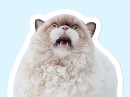 This is a modest, and yet dank compilation of cat stickers for iMessage