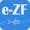 The Zebrafish APP