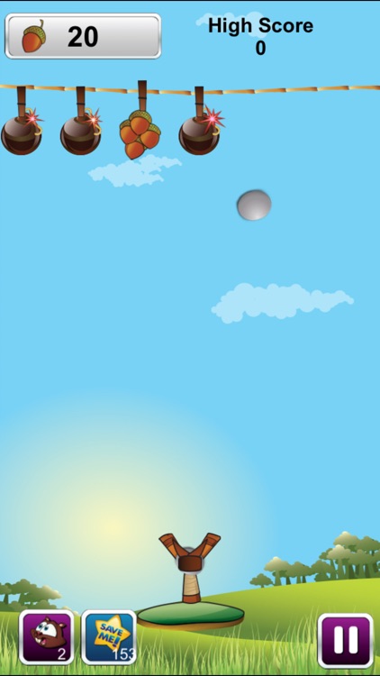 Go Nuts Game screenshot-3
