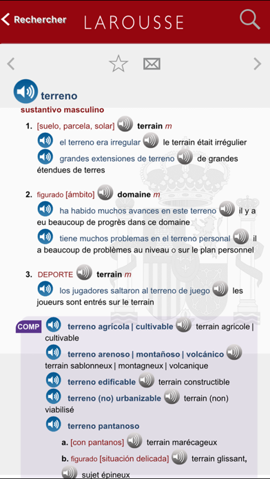 Screenshot #2 pour Grand Dictionnaire Espagnol/Français Larousse