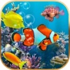 Fish Freedom Puzzle