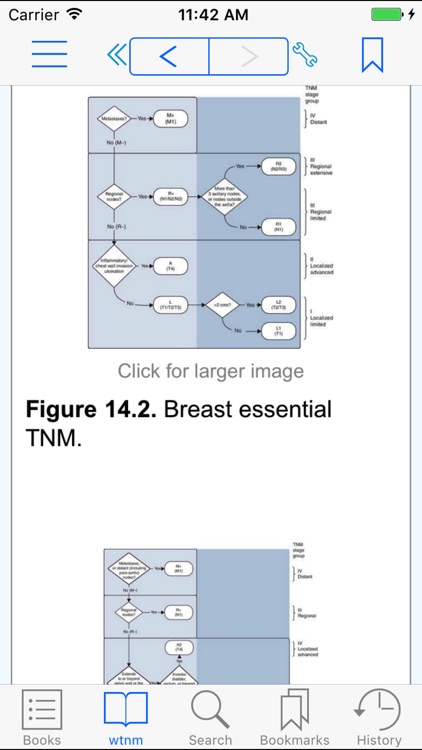 TNM Classification of Malignant Tumours, 8th Ed
