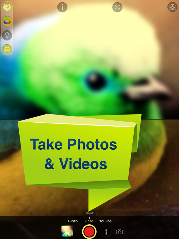 Screenshot #6 pour Cat Vision HD