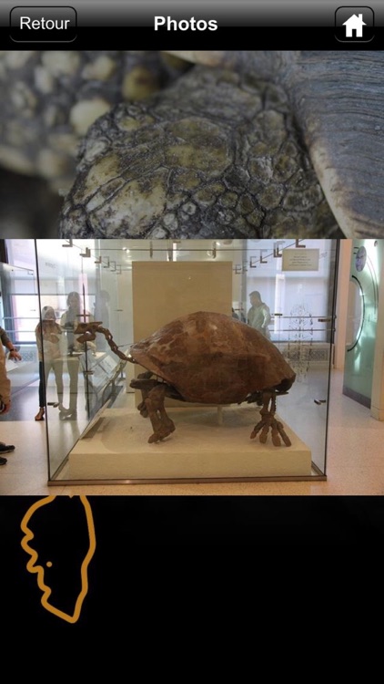 A Cupulatta Corsica screenshot-3