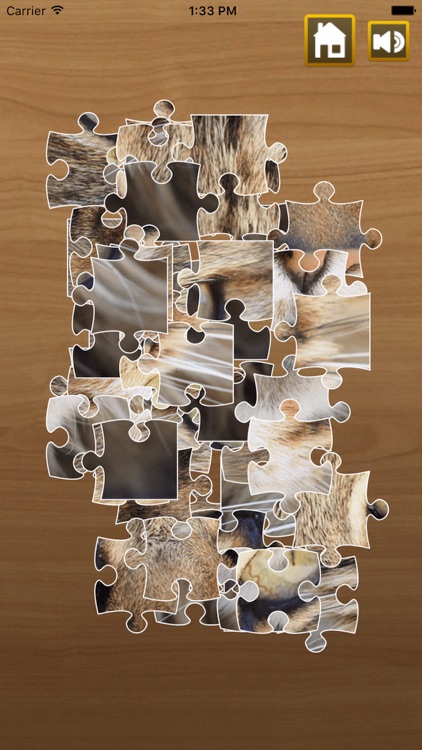 我的拼图－经典儿童益智游戏单机版