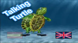 talking turtle - learn playing problems & solutions and troubleshooting guide - 3